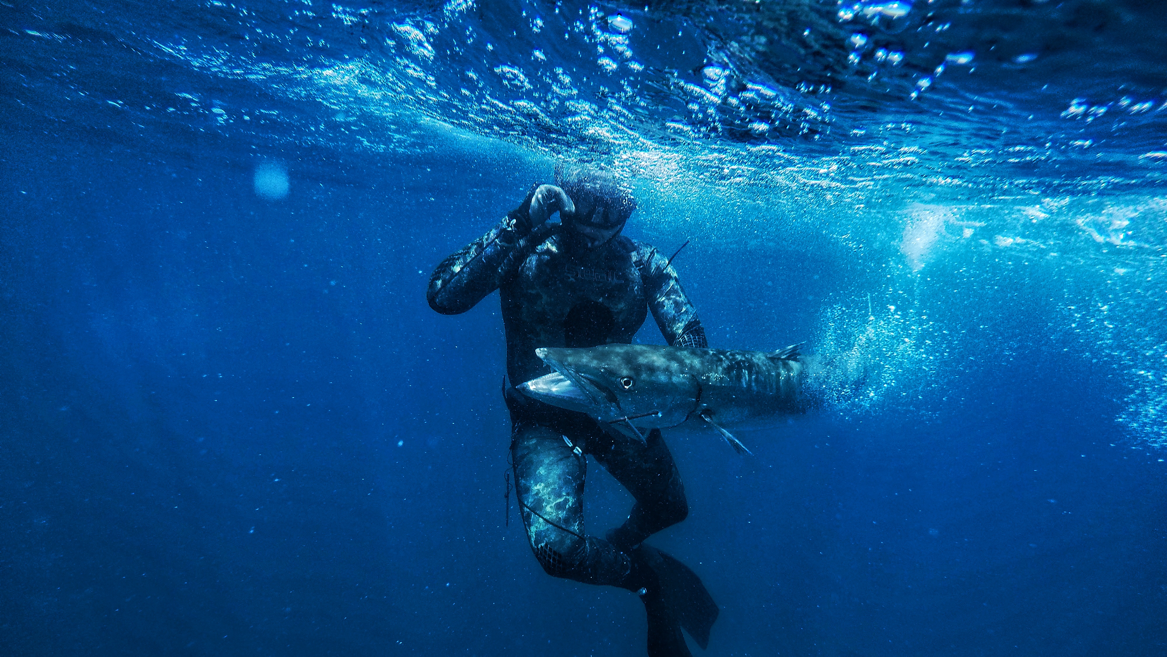 Spearfishing
